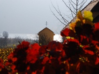 Herbst in der Wachau